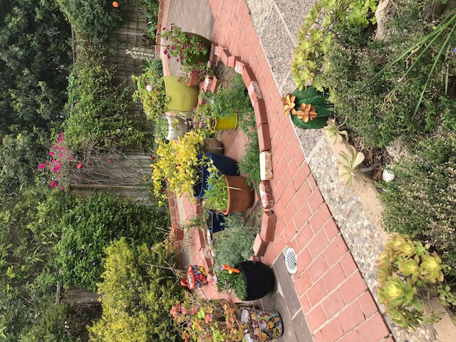 picture 15