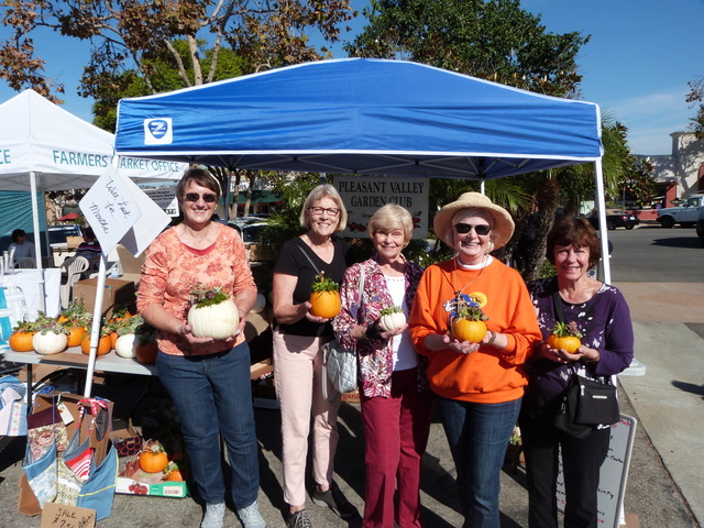 Pumpkin Fund Raiser